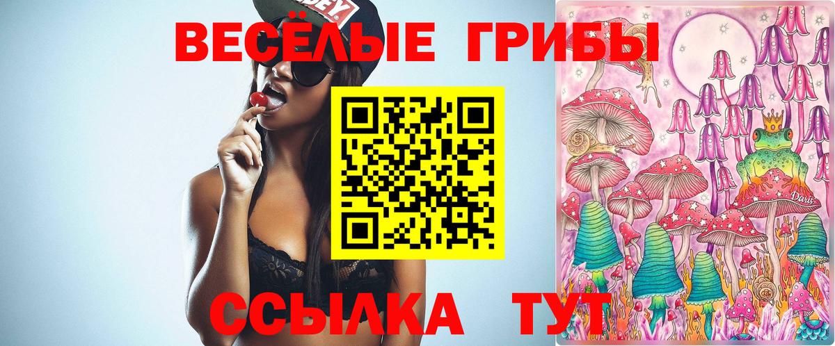 купить закладку  Галлюциногенные грибы MAGIC MUSHROOMS  Вход с VPN  Галлюциногенные грибы мицелий  Чистополь 