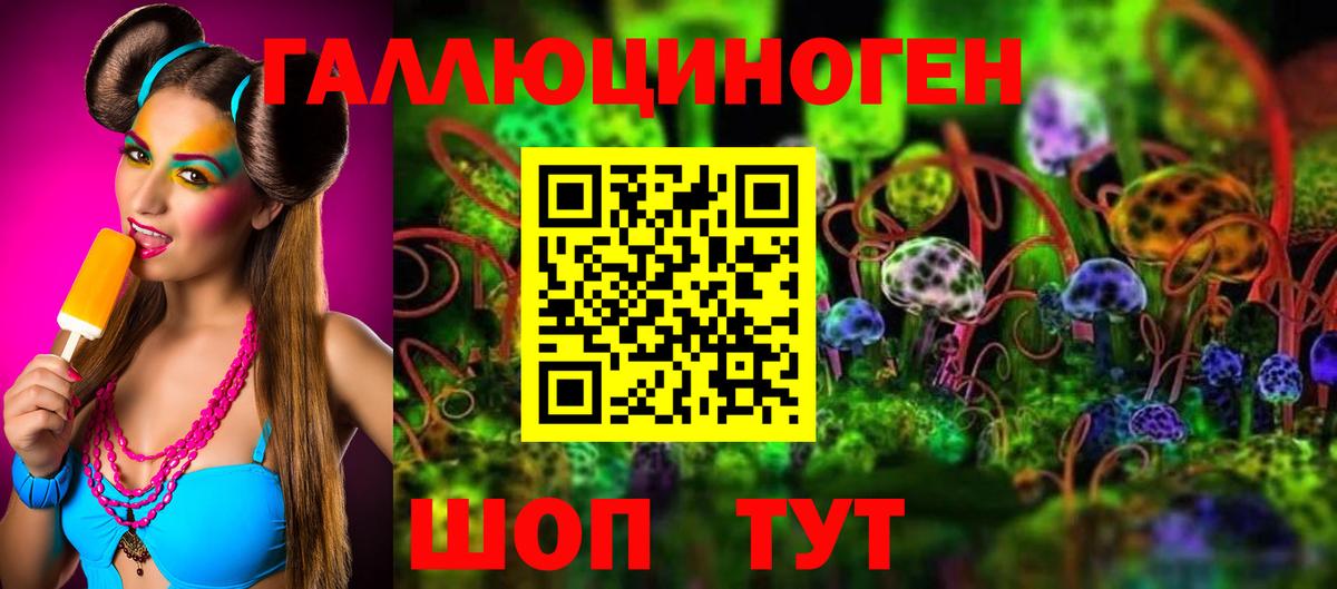Галлюциногенные грибы Psilocybine cubensis Чистополь